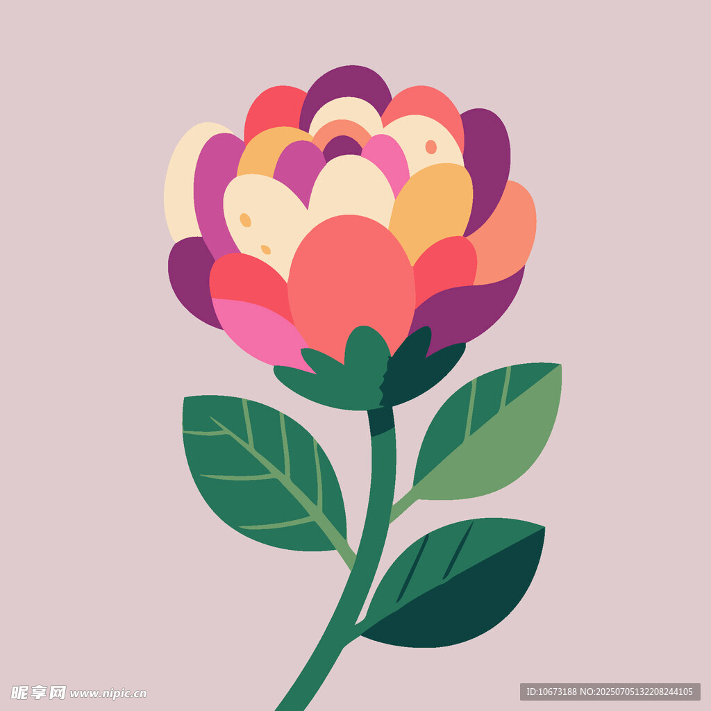 多彩花朵插画