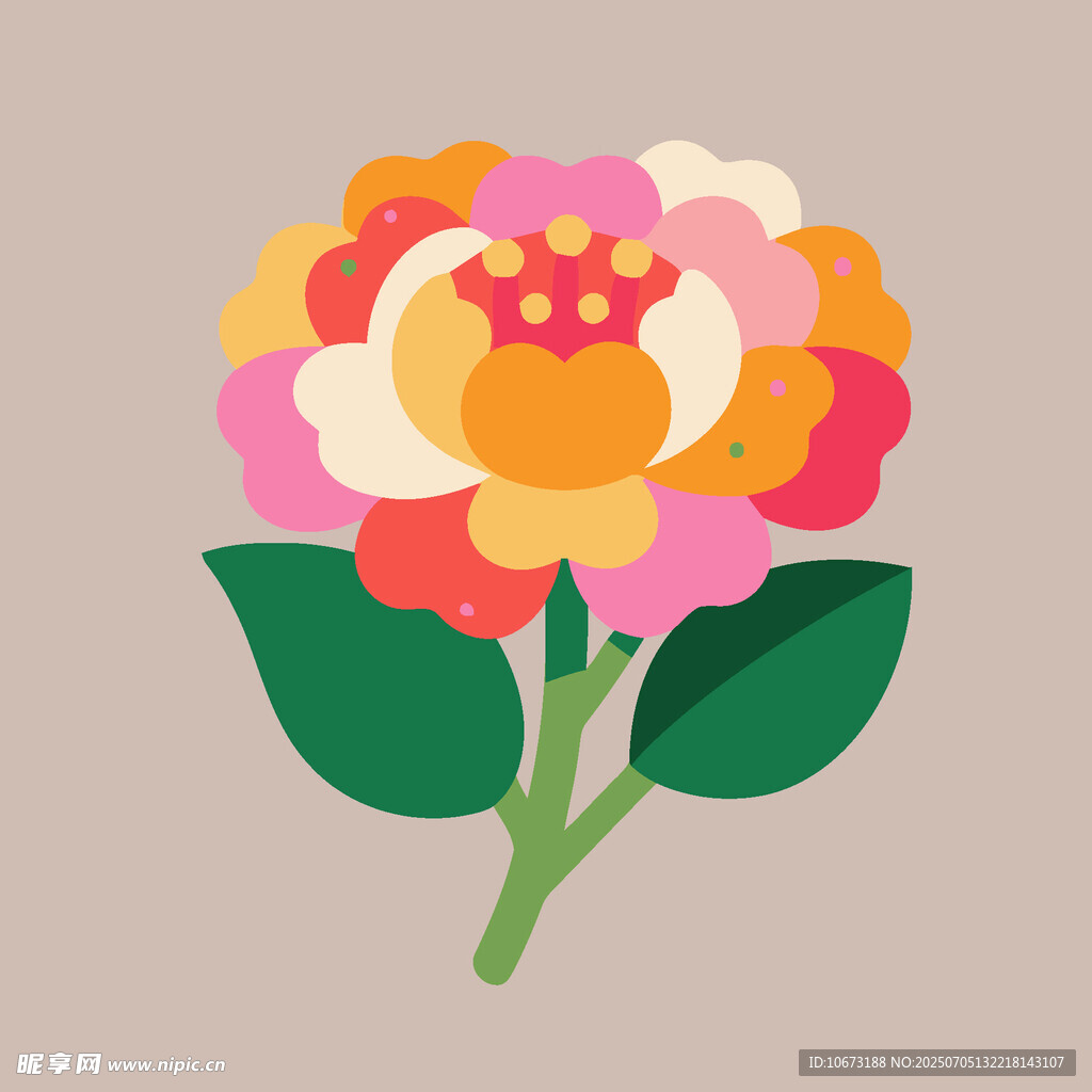 多彩花卉插画