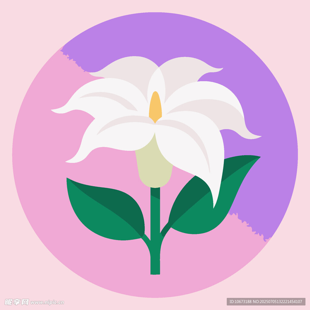 简约风白色花朵插画