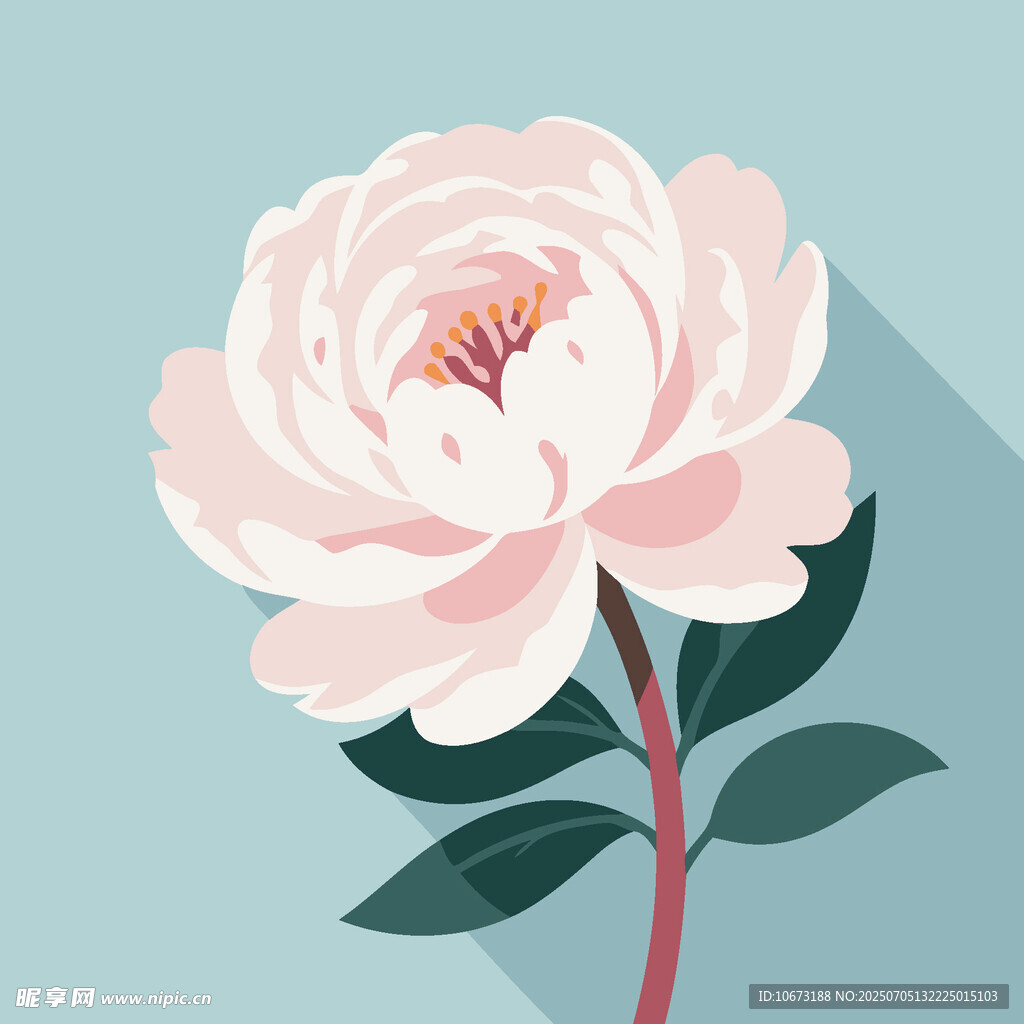 粉色牡丹花插画