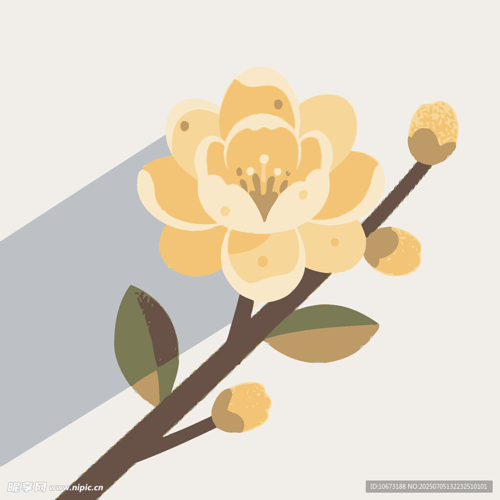 黄色花卉插画枝头绽放