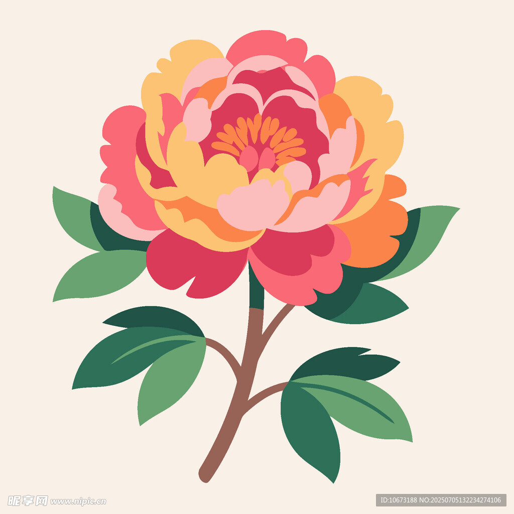 手绘多彩牡丹花