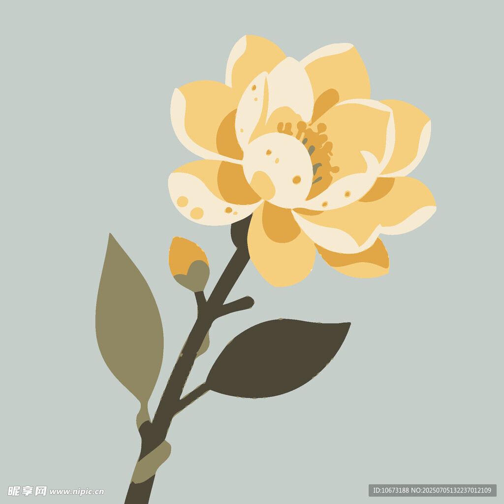黄色山茶花插画