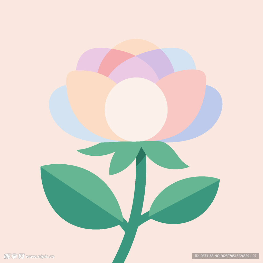 彩色花朵插画
