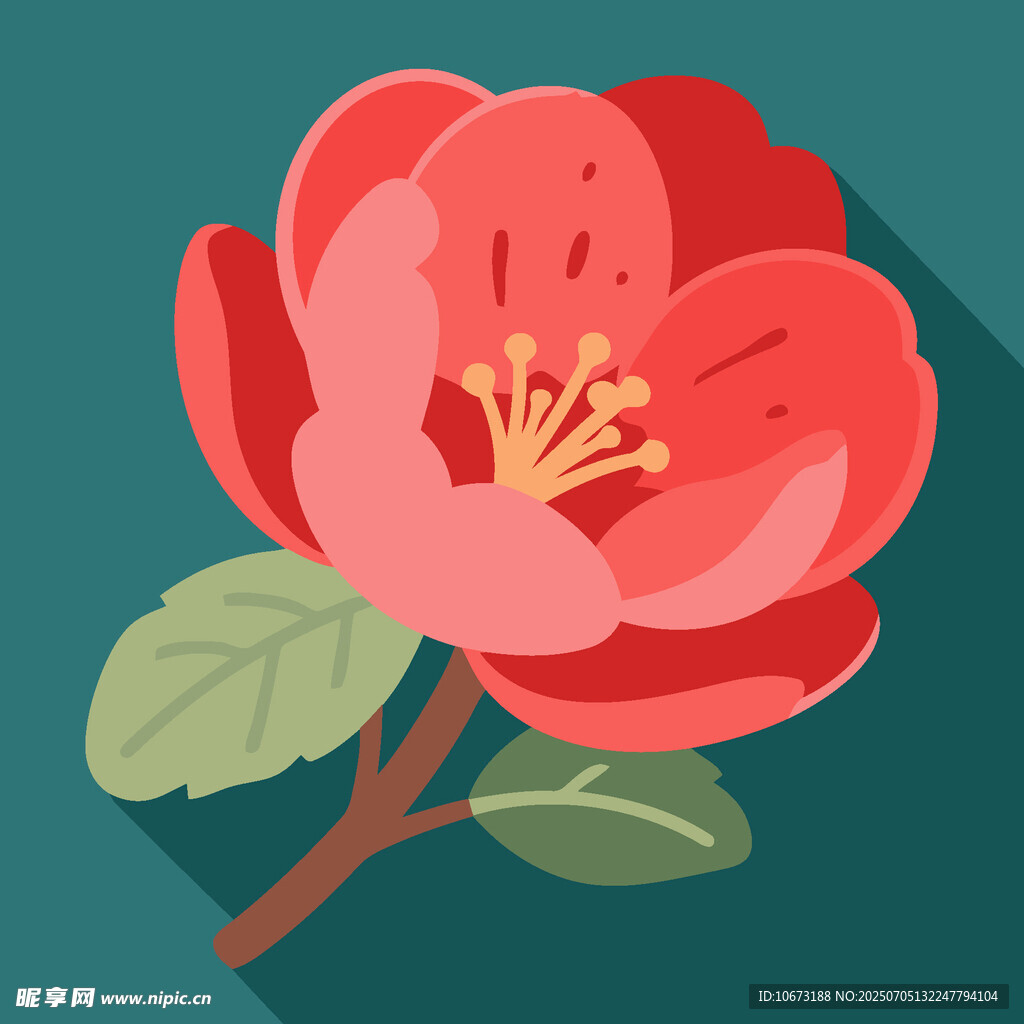 鲜艳红山茶插画