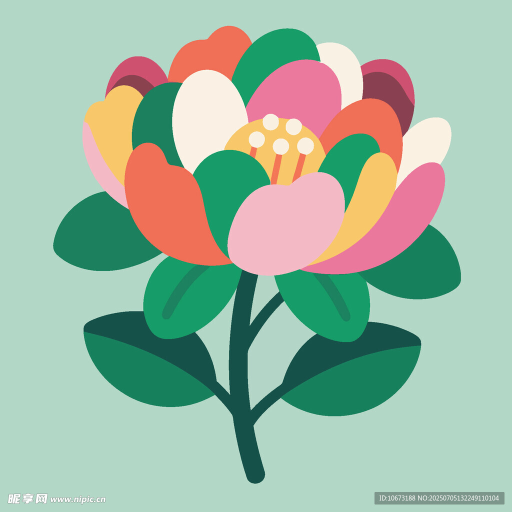 多彩花卉插画