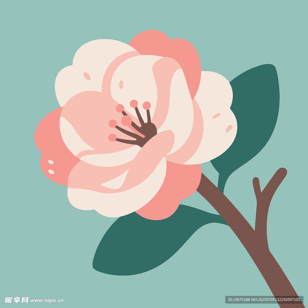 粉色山茶花插画