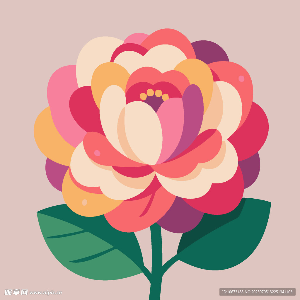 多彩花卉插画
