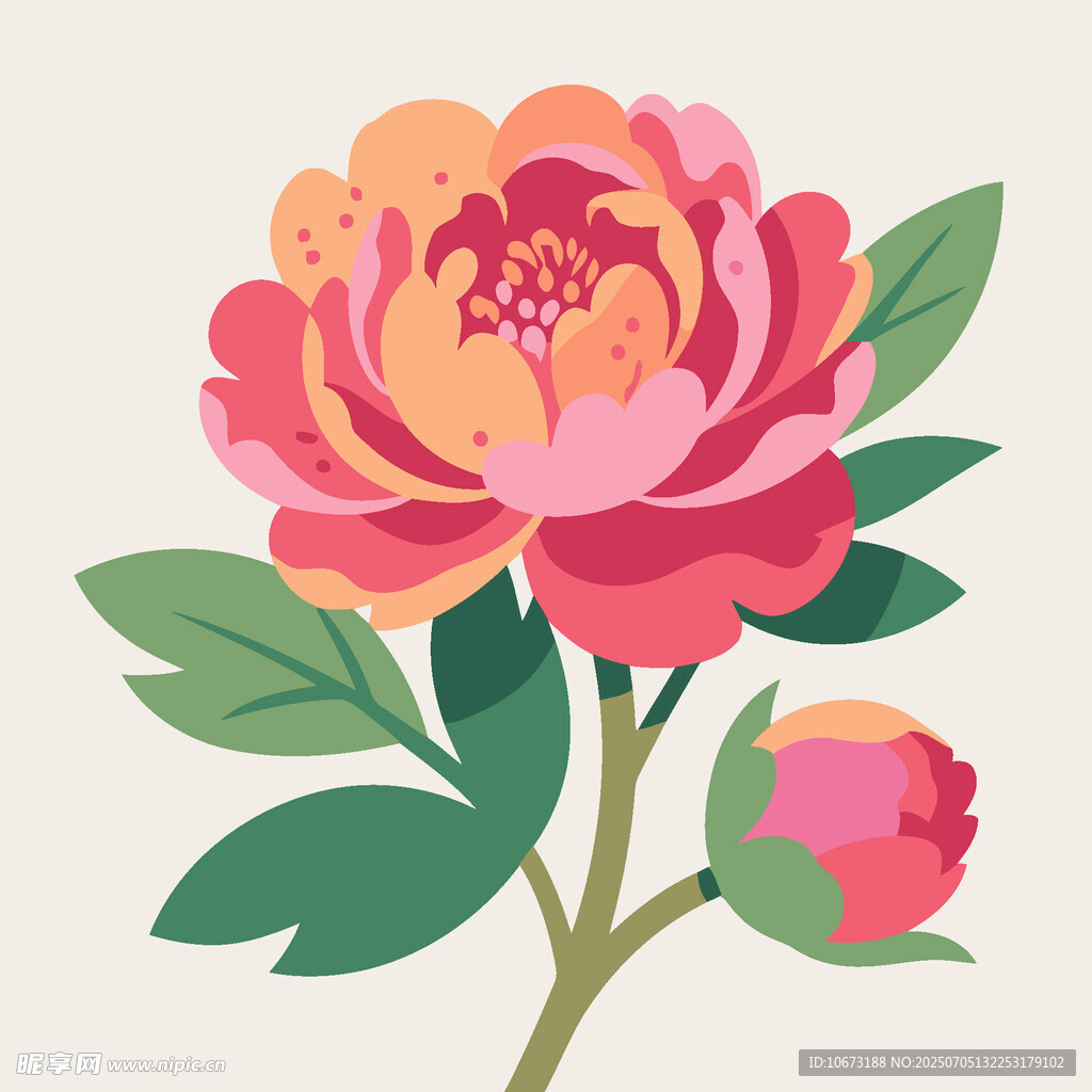 手绘粉色牡丹花插画