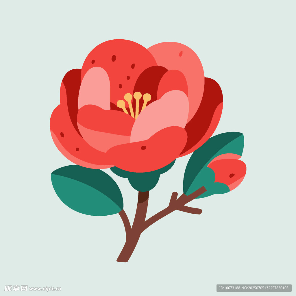 红色山茶花插画