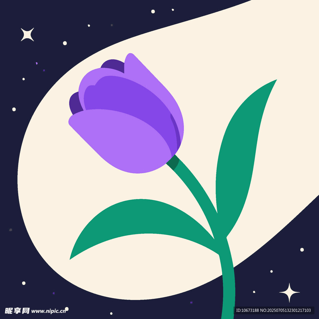 夜空中的紫色郁金香
