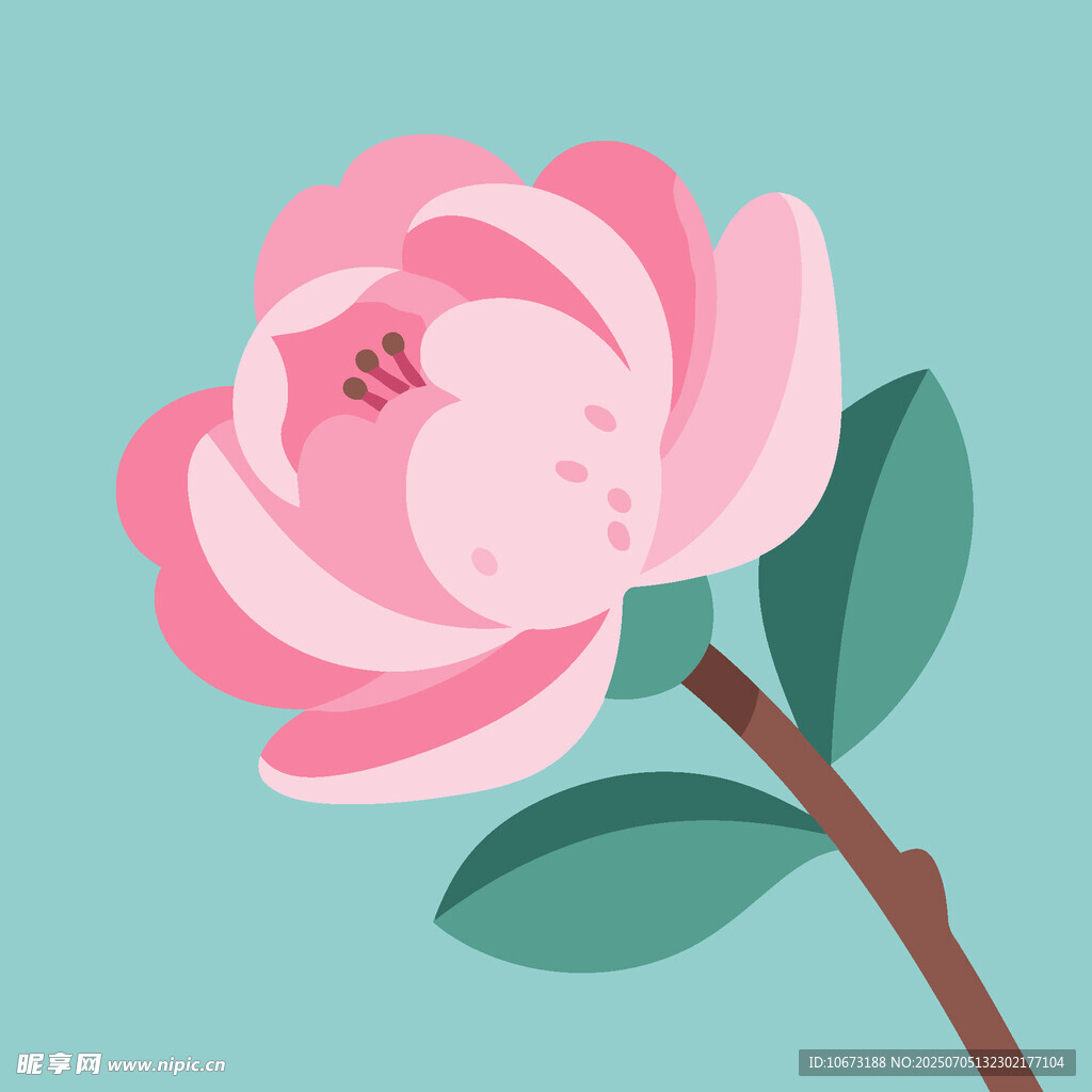 粉色山茶花插画