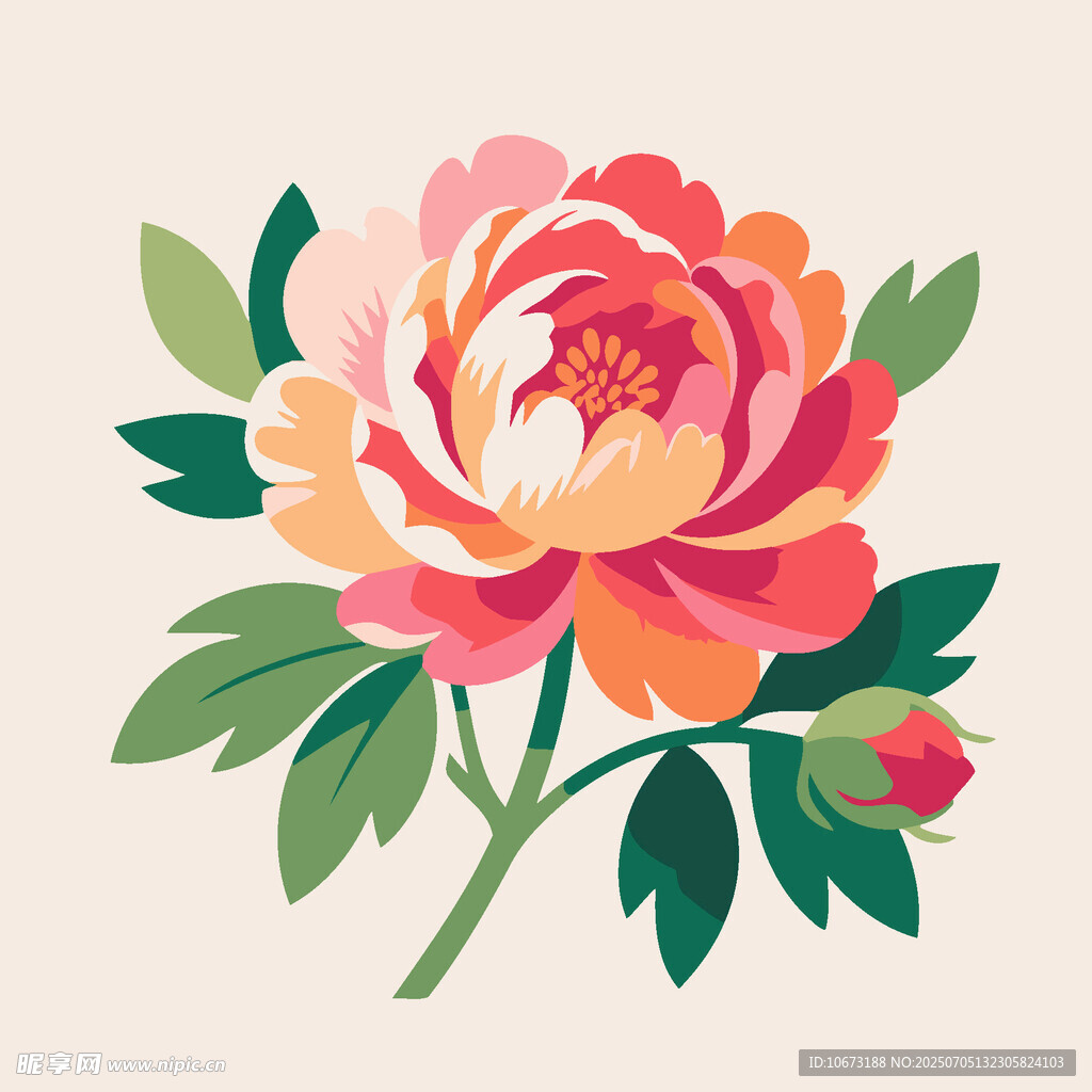 手绘艳丽牡丹花插画