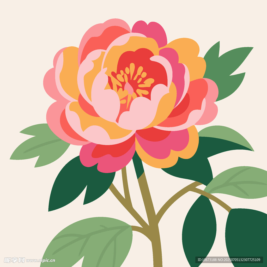 手绘粉色牡丹花插画