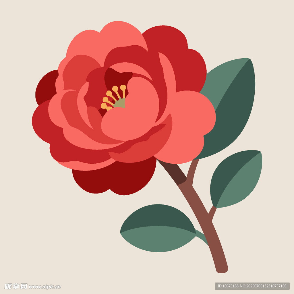 红色山茶花插画