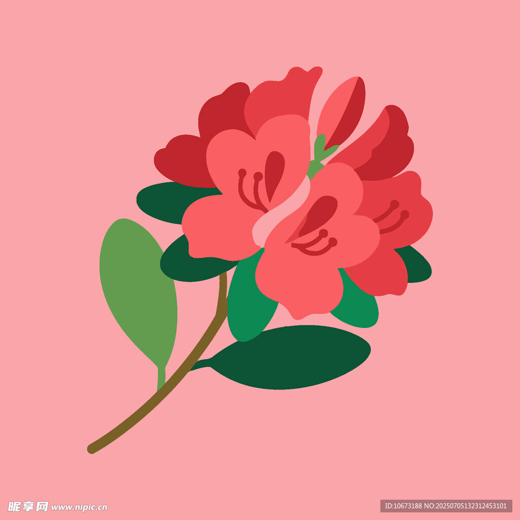 粉色花卉插画