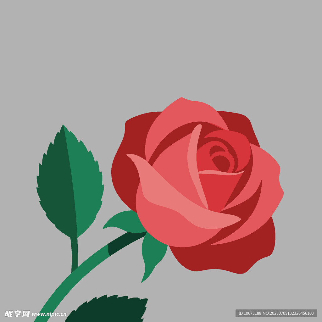 简约风格红玫瑰插画