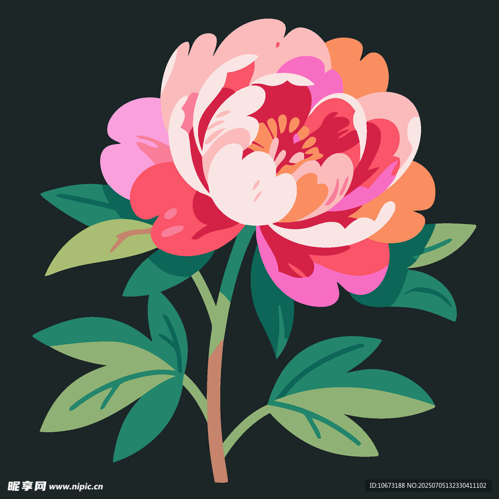 手绘盛开牡丹花