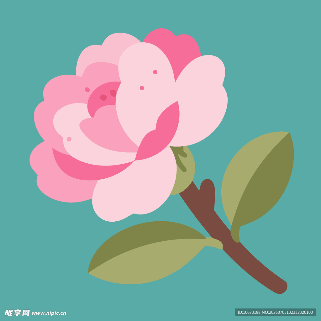 粉色山茶花插画