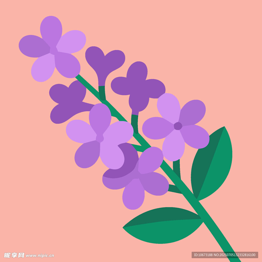 紫色花朵插画