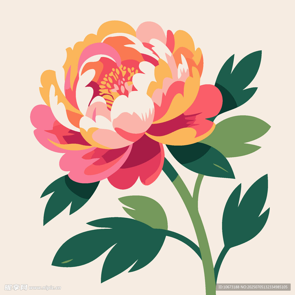 手绘多彩牡丹花