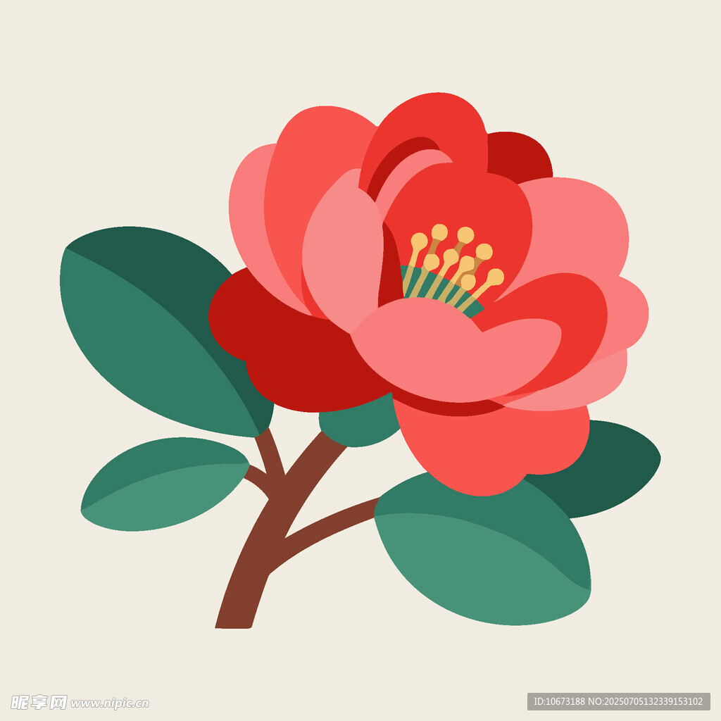 手绘鲜艳山茶花插画