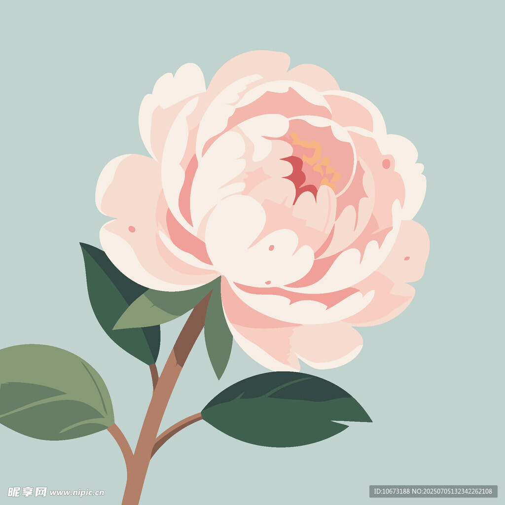 粉色牡丹花插画