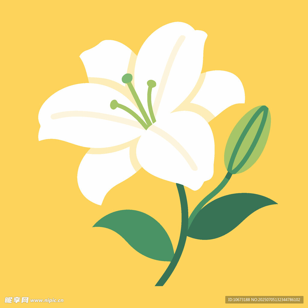 黄色背景上的白色百合花
