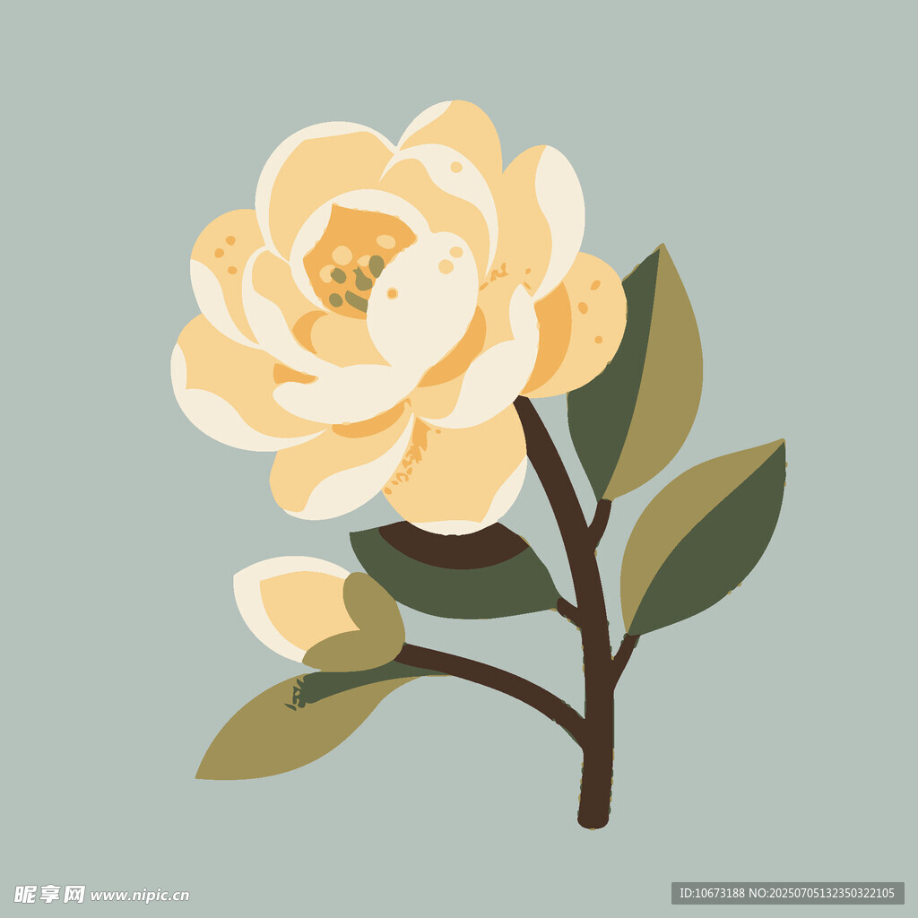 黄色山茶花插画