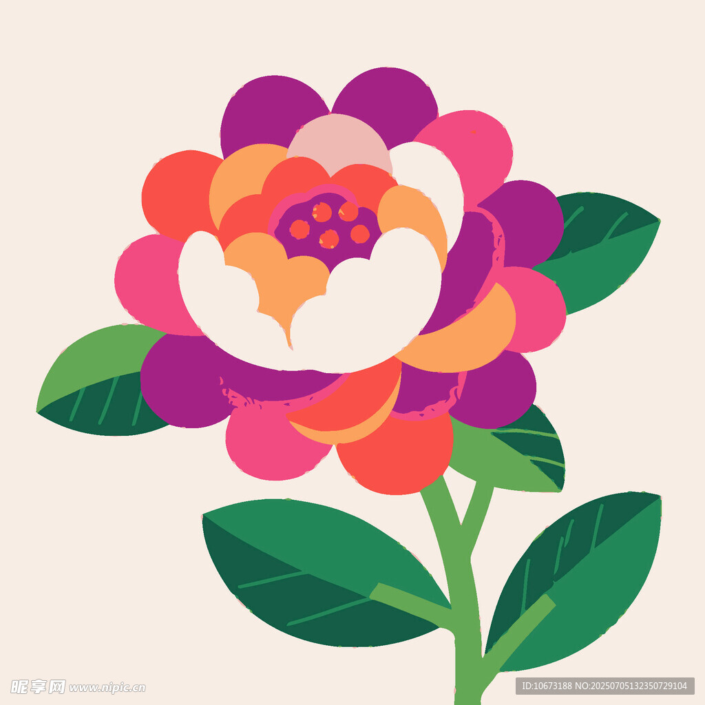多彩花卉插画