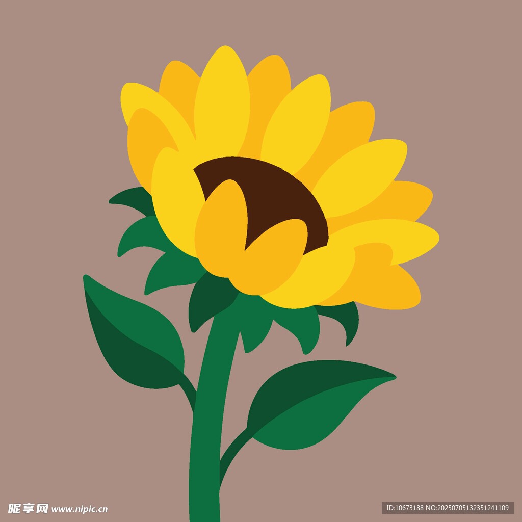 黄色向日葵插画