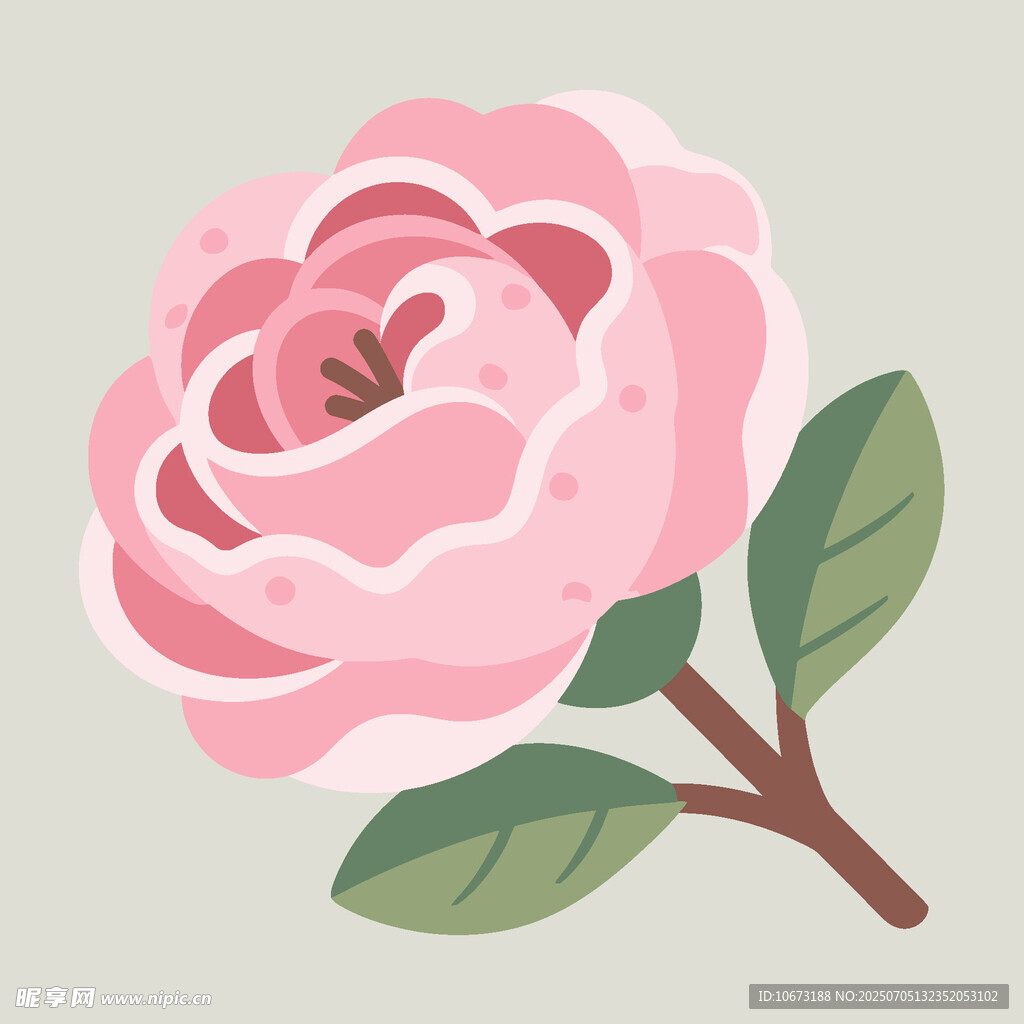 粉色娇艳山茶花插画