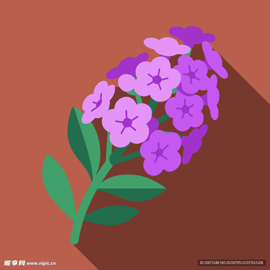 紫色花朵插画