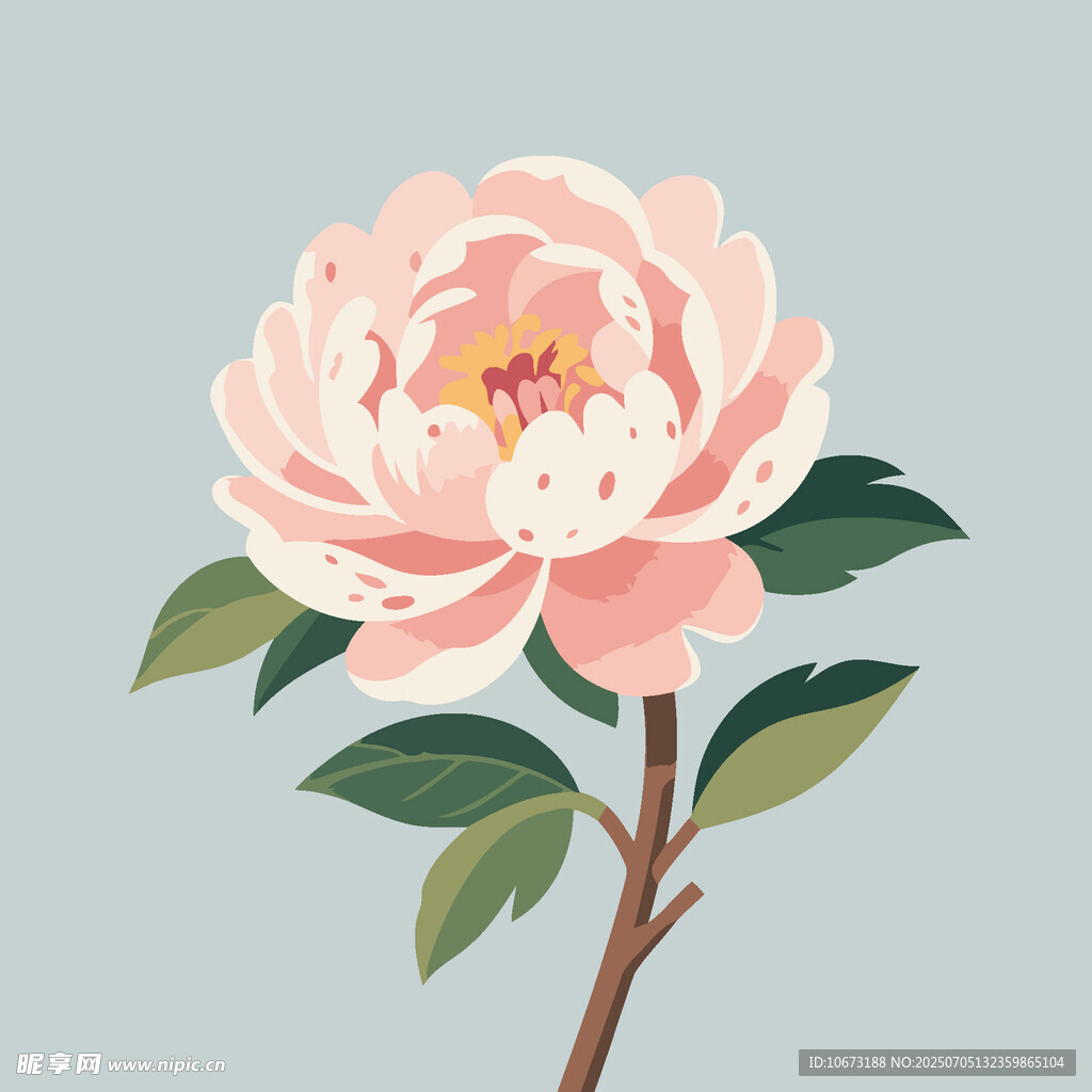 粉色娇艳牡丹花
