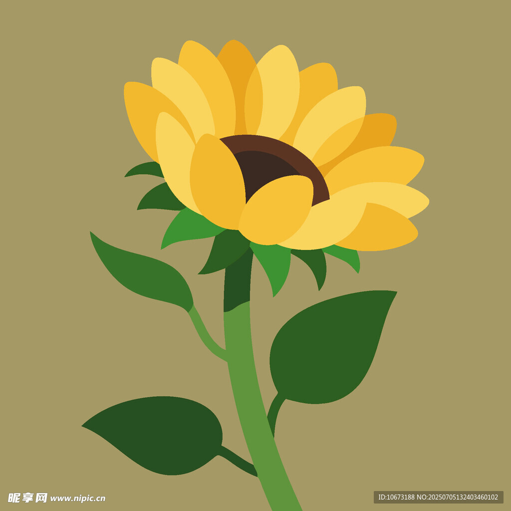 黄色向日葵插画