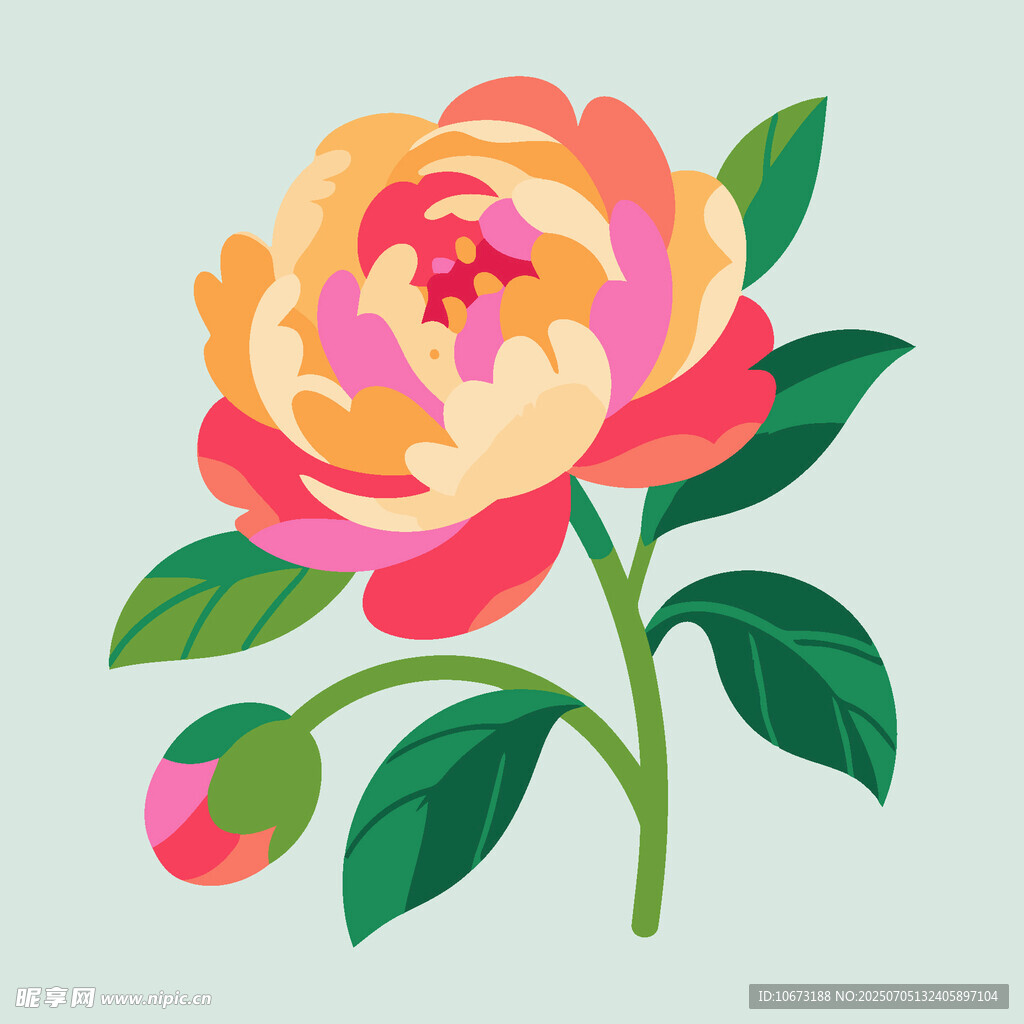 手绘多彩牡丹花插画