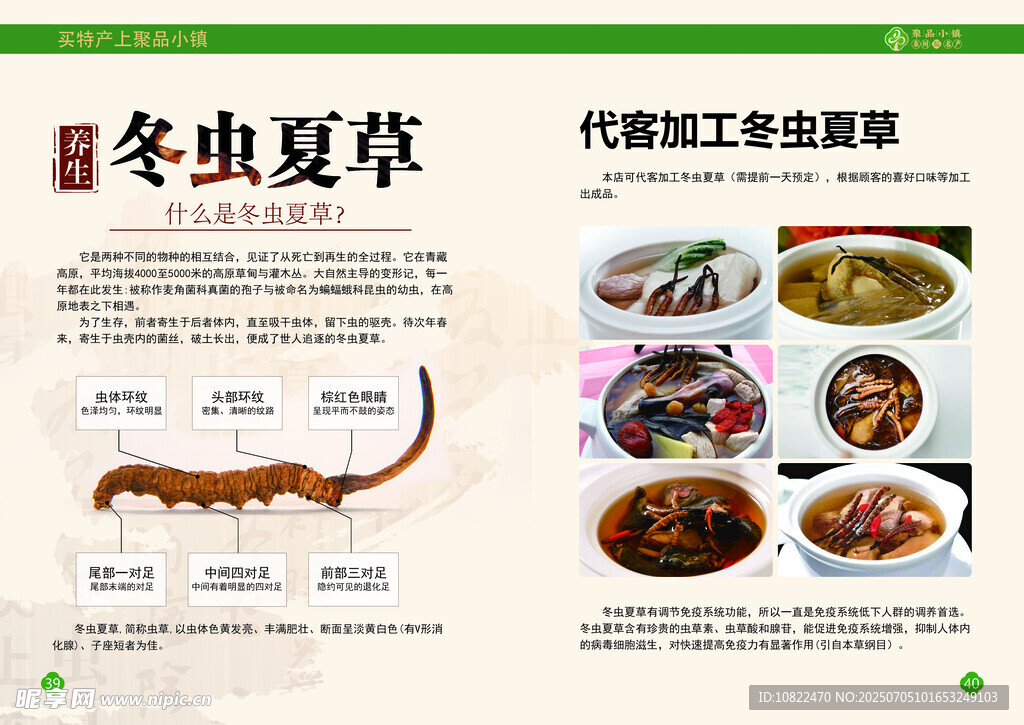 产品画册海报特产