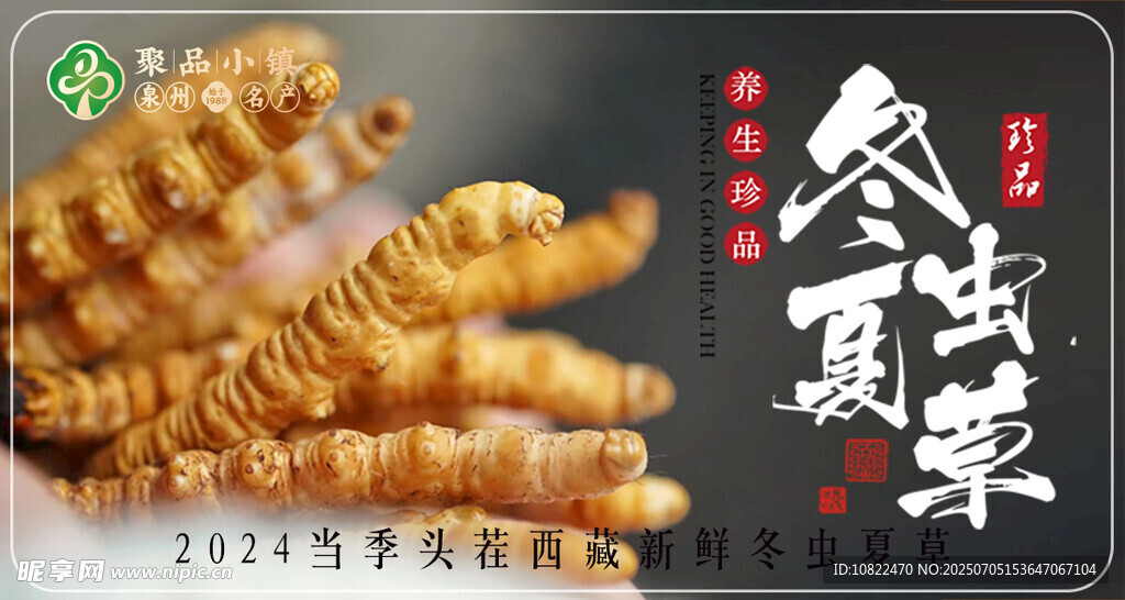 优质冬虫夏草展示