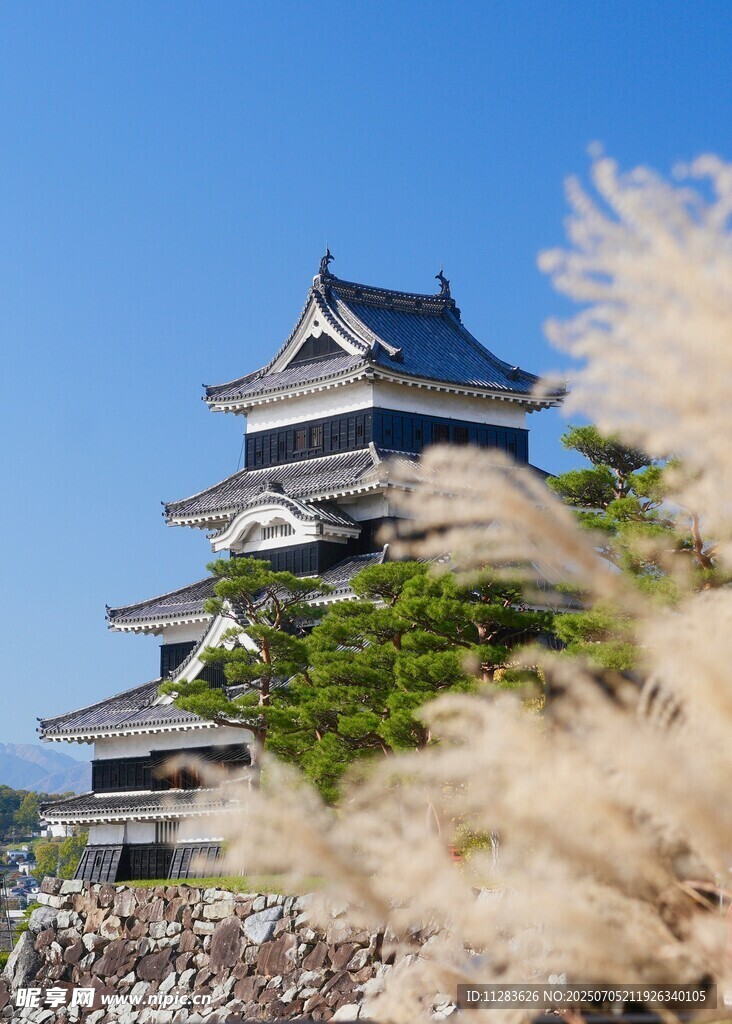 日本松本城风光