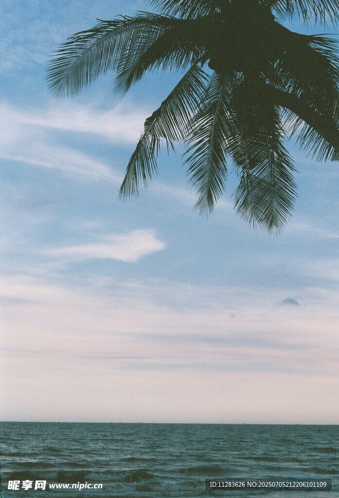 海边椰树与浪漫天空景色