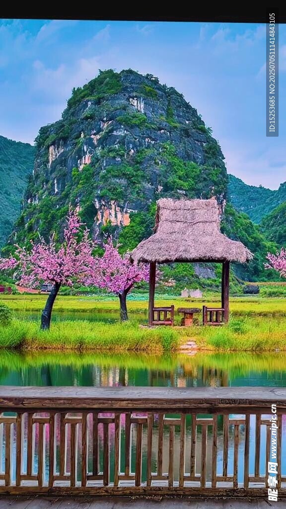 湖畔花树凉亭春日美景