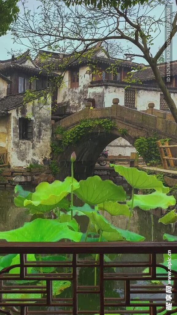 江南水乡荷塘畔古建筑