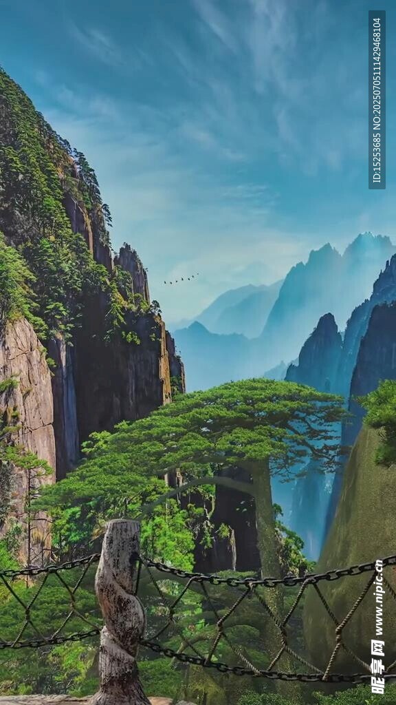 黄山奇峰间的翠绿孤松