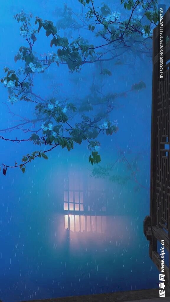 夜幕下的窗景与朦胧树影