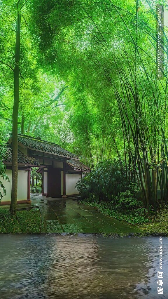 竹林中的静谧小屋