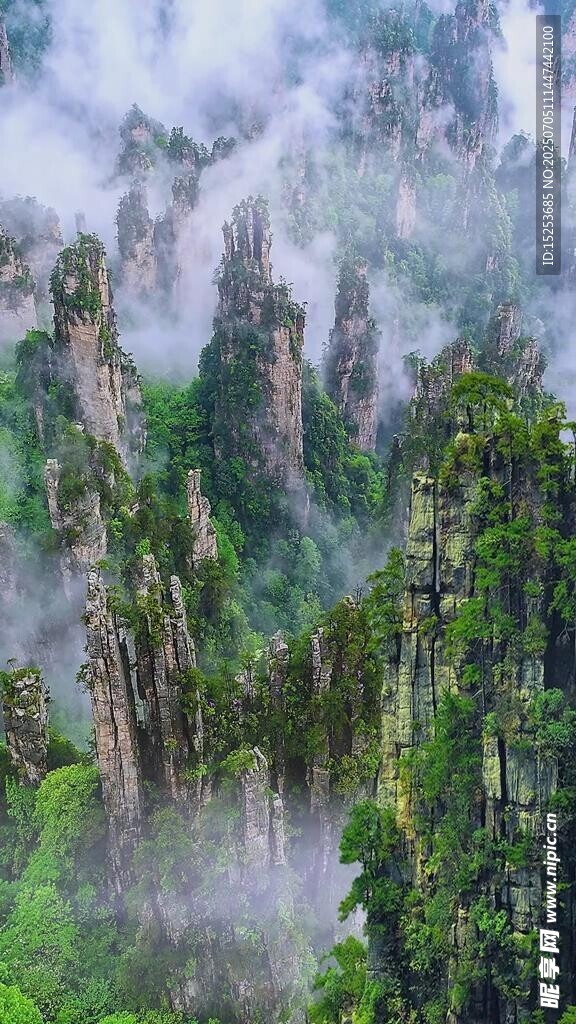 云雾缭绕的壮美山林景观
