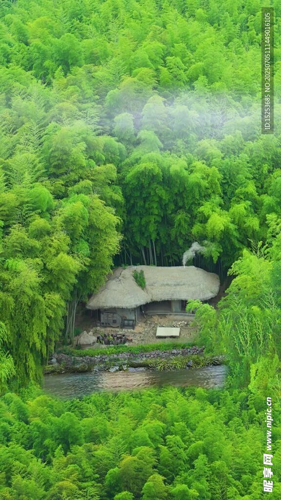 林间小屋隐于葱郁绿意中