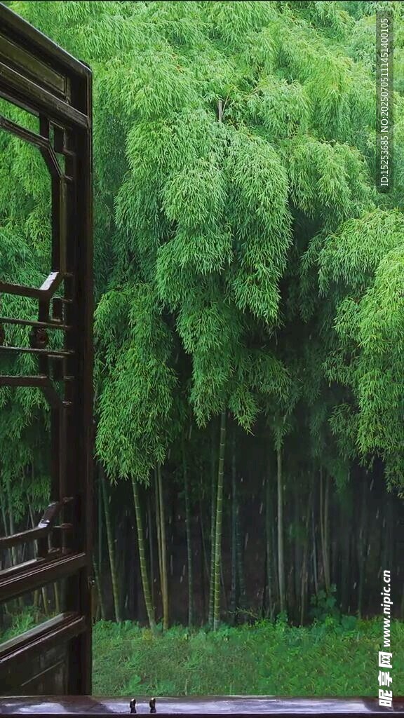 窗外葱郁树林美景