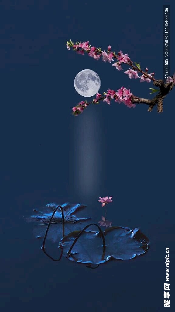 梦幻月夜下的机械与繁花