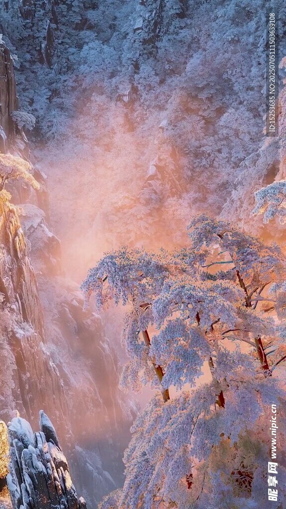 冬日雾凇美景